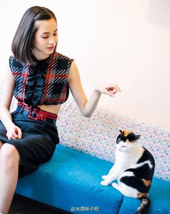 水原希子与猫系列 清纯、妩媚、纯真、狡黠都是你 kiko啊，其实你也是一只猫吧