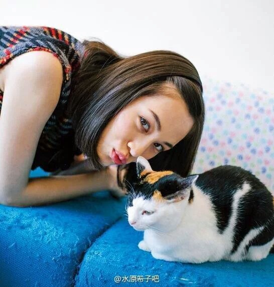 水原希子与猫系列 清纯、妩媚、纯真、狡黠都是你 kiko啊，其实你也是一只猫吧