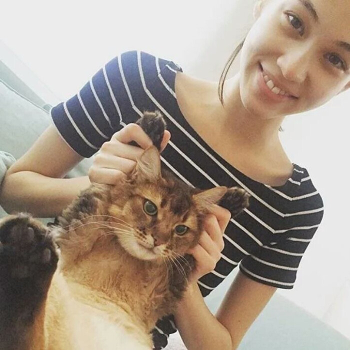 水原希子与猫系列清纯 妩媚 纯真 狡黠都是你kiko啊 其实你也是一只猫吧 堆糖 美图壁纸兴趣社区