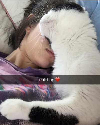 水原希子与猫系列 清纯、妩媚、纯真、狡黠都是你 kiko啊，其实你也是一只猫吧