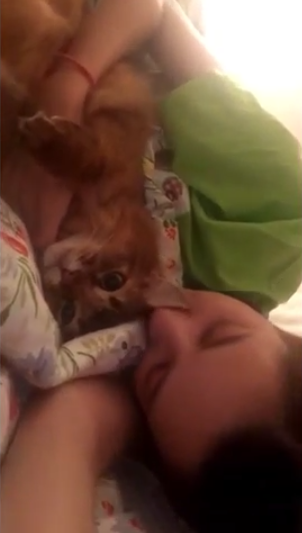 水原希子与猫系列 清纯、妩媚、纯真、狡黠都是你 kiko啊，其实你也是一只猫吧