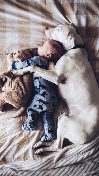 狗狗和宝宝壁纸