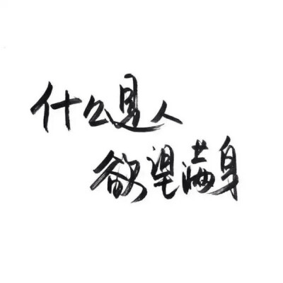 文字控 备忘录 电影截图 句子 伤感 青春 治愈系 台词 唯美 爱情 励志 个性