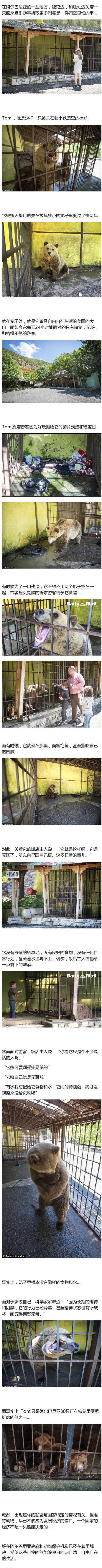  放它们回去吧 人类被关在牢笼里供人观赏的时候 又是何种滋味