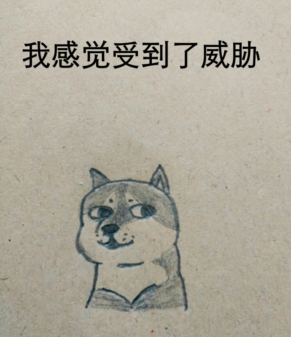 根据堆糖上偶然发现的教程画出来的蠢萌柴犬doge 可以 这很有颜艺