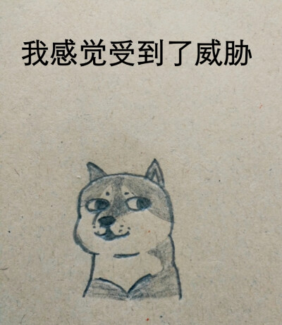 根据堆糖上偶然发现的教程画出来的蠢萌柴犬doge 可以 这很有颜艺