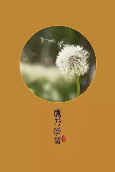 【花·夕】小暑之日，溫風至，又五日，螅蟀居辟，又五日，鷹乃學習。