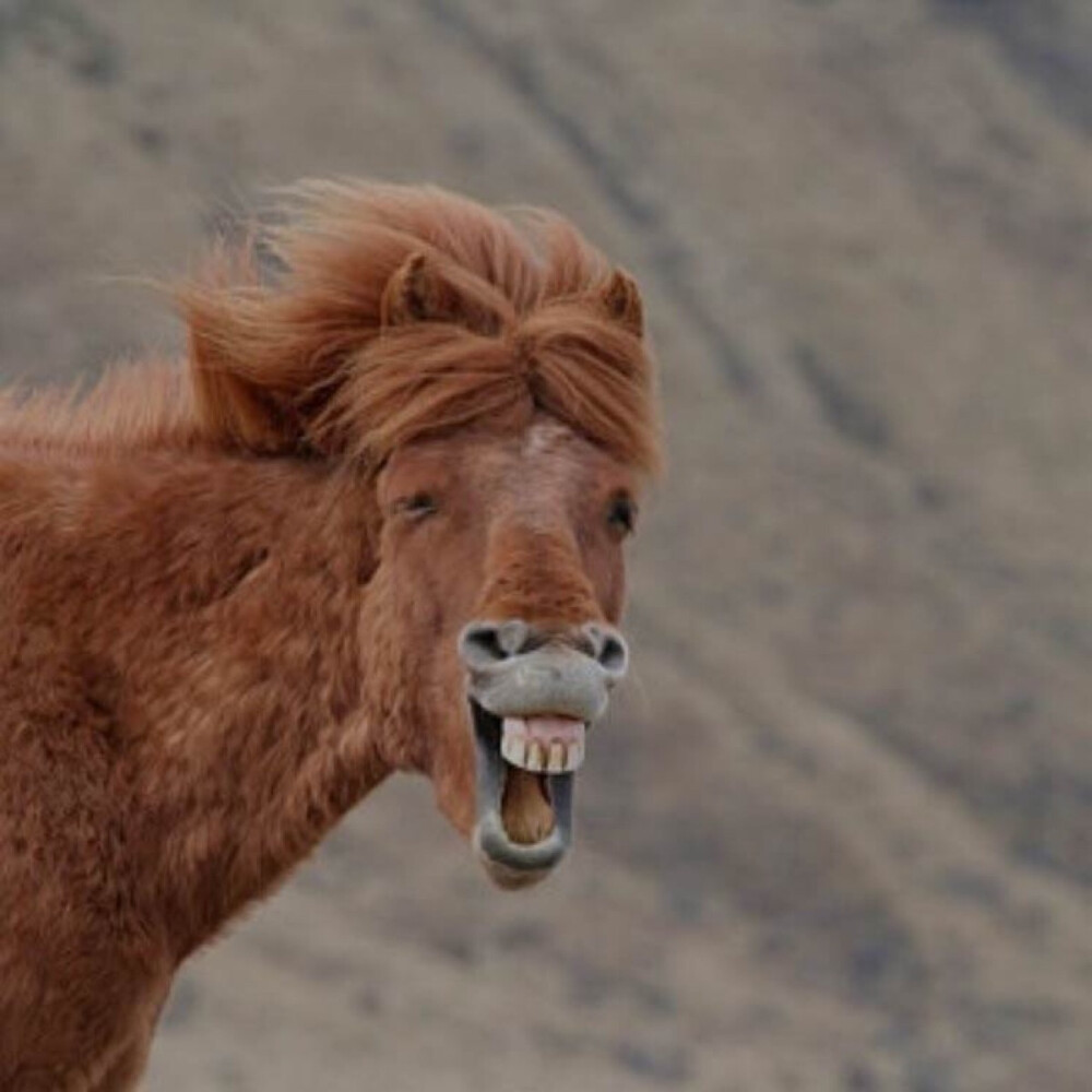 另类头像搞怪头像by活力柠檬酱