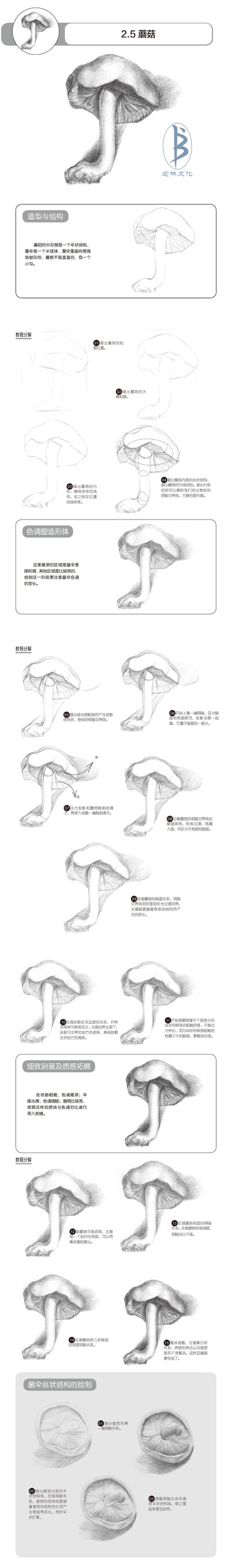 本案例摘自人民邮电出版社出版的《铅笔素描三步速成：静物》。更多原创绘画教程和作品将在“爱林文化”公众号（aiibook）中长期分享！爱林博悦——只为悦读者！