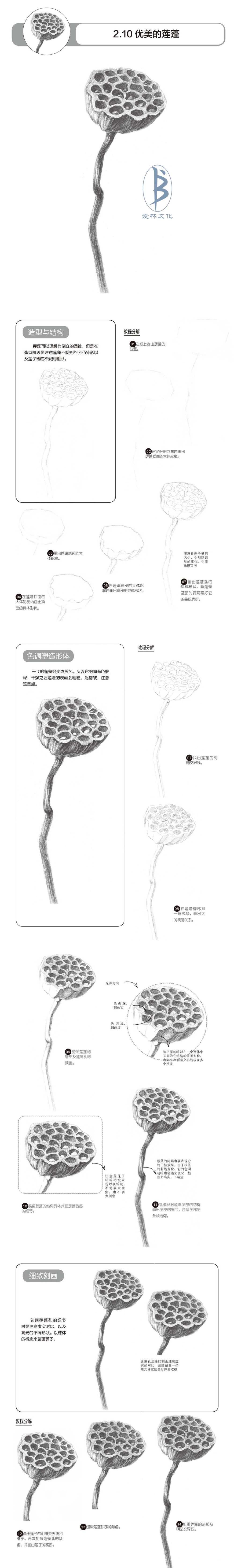 本案例摘自人民邮电出版社出版的《铅笔素描三步速成：静物》。更多原创绘画教程和作品将在“爱林文化”公众号（aiibook）中长期分享！爱林博悦——只为悦读者！