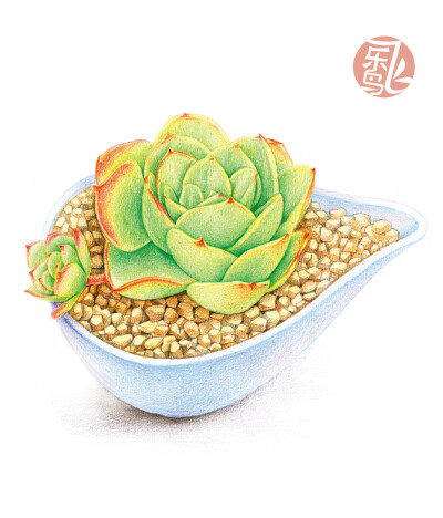 多肉绘