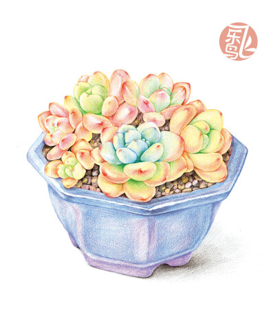 多肉绘