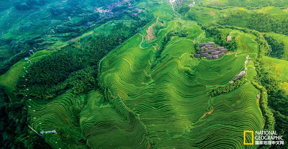 桂 龙胜梯田