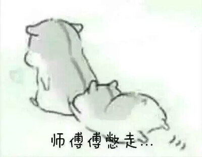 hamham小仓鼠表情包