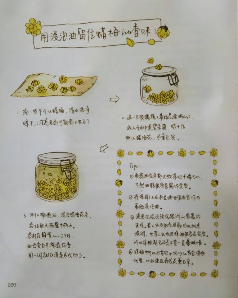 用浸泡油留住腊梅花的香味！