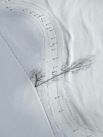 你是一场皑皑大雪，覆盖了我所有的去路。