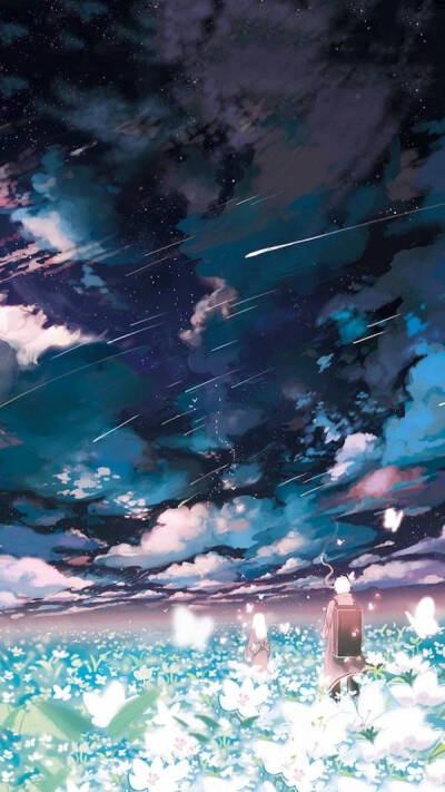 流星雨 夜空 花海 手机壁纸