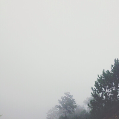 随手拍。学车雨后遇云海