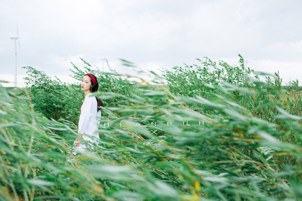 乌兰布统草原