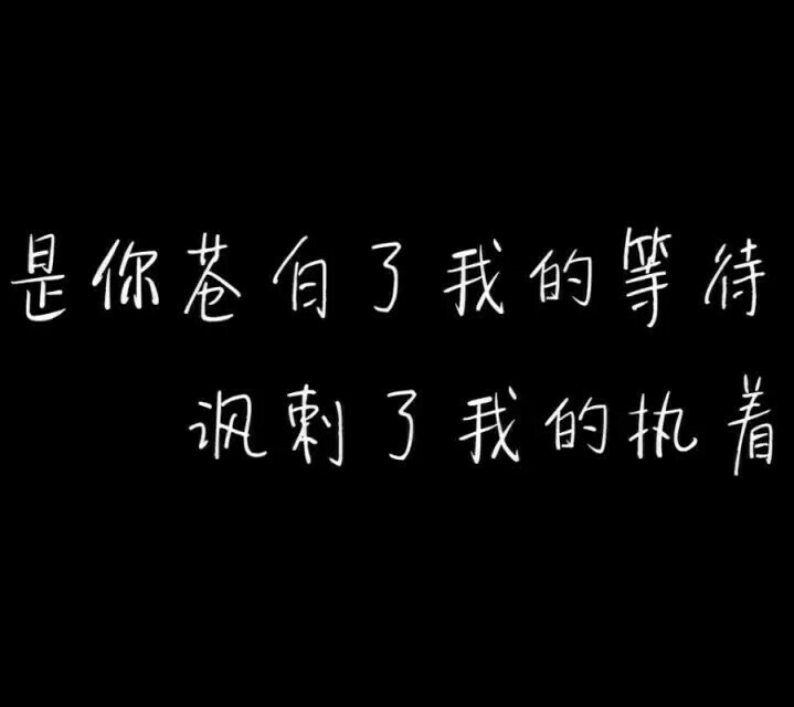 林夏文字