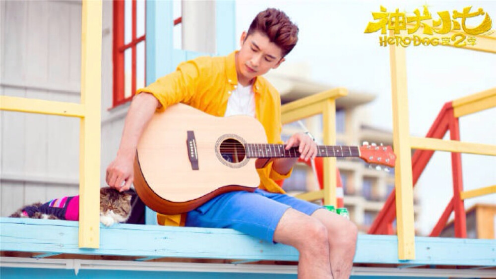 神犬小七2 # 高清剧照 张云龙 王洋 欧叶 鲍宇 小七78