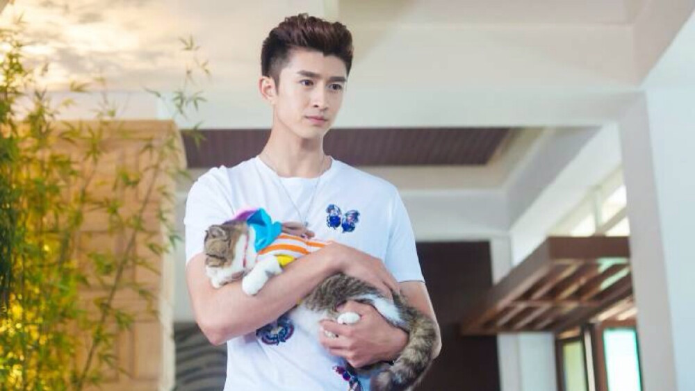 神犬小七2 # 高清剧照 张云龙 王洋 欧叶 鲍宇 小七