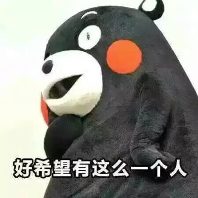 熊本熊（日语：くまモン，英语：Kumamon），官方翻译为酷ma萌，是日本熊本县的官方萌物，2011年日本吉祥物票选活动第一名，被评为日本最有名的熊。至2011年9月29日担任熊本县临时职员，2011年9月30日开始担任熊本县…