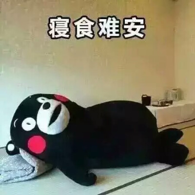 熊本熊（日语：くまモン，英语：Kumamon），官方翻译为酷ma萌，是日本熊本县的官方萌物，2011年日本吉祥物票选活动第一名，被评为日本最有名的熊。至2011年9月29日担任熊本县临时职员，2011年9月30日开始担任熊本县…