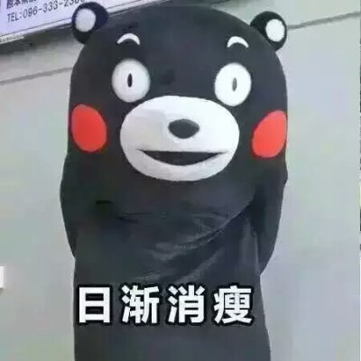 熊本熊（日语：くまモン，英语：Kumamon），官方翻译为酷ma萌，是日本熊本县的官方萌物，2011年日本吉祥物票选活动第一名，被评为日本最有名的熊。至2011年9月29日担任熊本县临时职员，2011年9月30日开始担任熊本县…