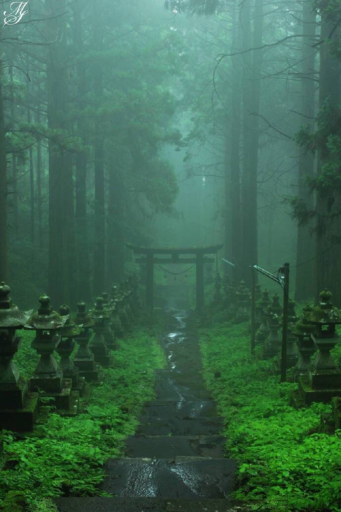 日本熊本县内，有一座近乎荒废的神社。每逢夏暑，蔓草和绿苔就会紧紧抱住它无人问津的鸟居和石阶。蝉鸣不绝，像在诉说着一个未了的心愿。这里就是青涩的动画电影《螢火之森》的采景地