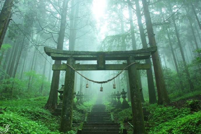 日本熊本县内，有一座近乎荒废的神社。每逢夏暑，蔓草和绿苔就会紧紧抱住它无人问津的鸟居和石阶。蝉鸣不绝，像在诉说着一个未了的心愿。这里就是青涩的动画电影《螢火之森》的采景地——熊野座神社。