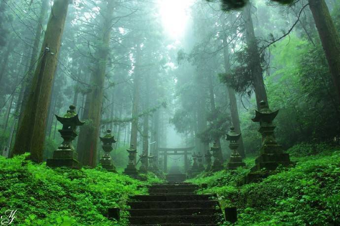 日本熊本县内，有一座近乎荒废的神社。每逢夏暑，蔓草和绿苔就会紧紧抱住它无人问津的鸟居和石阶。蝉鸣不绝，像在诉说着一个未了的心愿。这里就是青涩的动画电影《螢火之森》的采景地