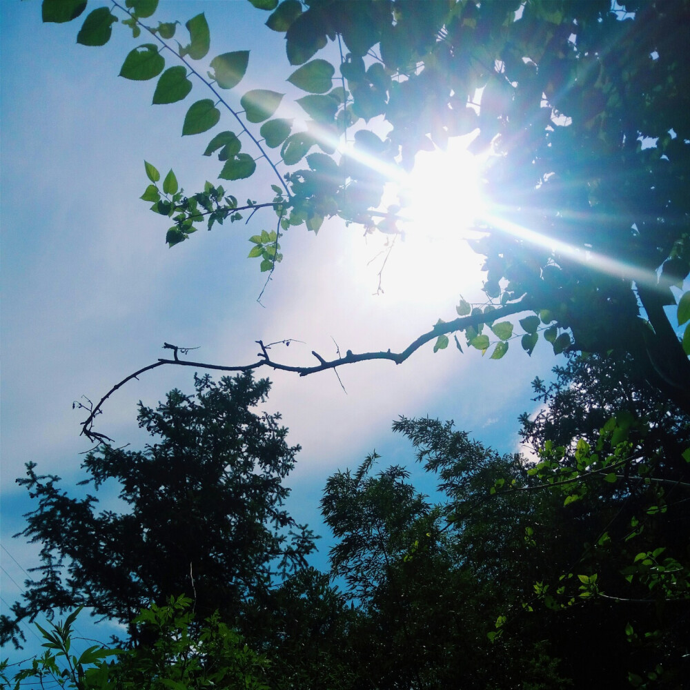 有时候阳光太好也不是一件好事
比如夏天