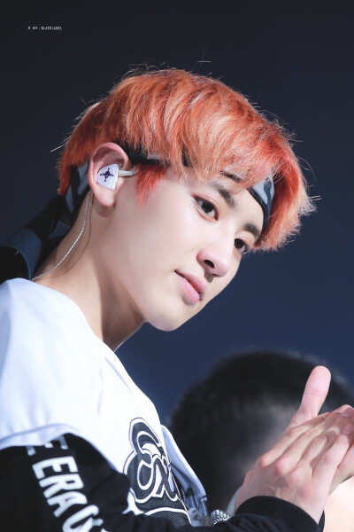 160730 EXO三巡 EXORDIUM 朴灿烈 cr:logo