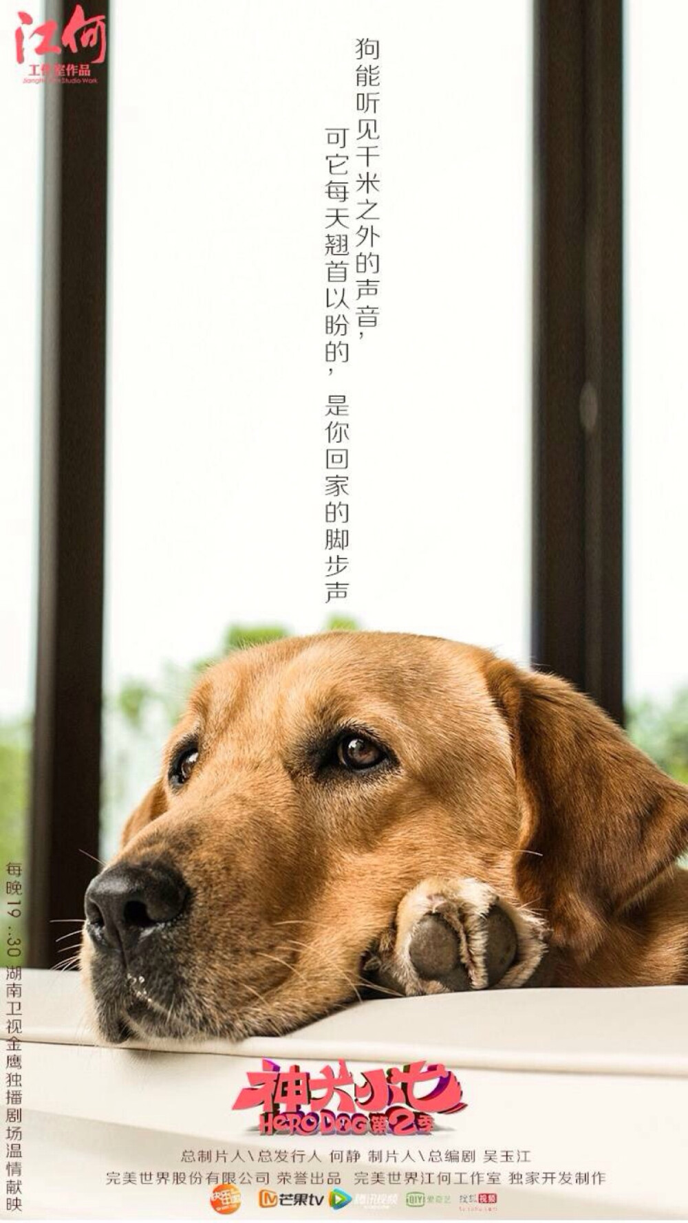 神犬小七2壁纸图片