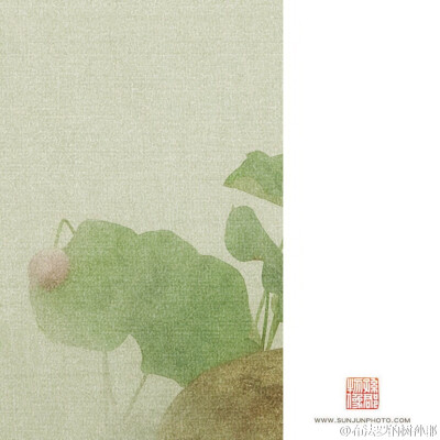 露荷翻处水流萤，萧萧散发到天明。【南塘芙蕖】2015 局部图