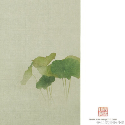 露荷翻处水流萤，萧萧散发到天明。【南塘芙蕖】2015 局部图