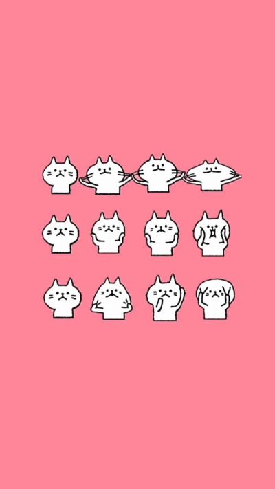 壁纸 粉红色猫