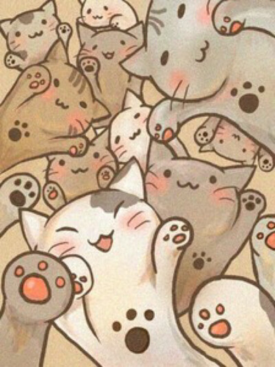 猫咪壁纸