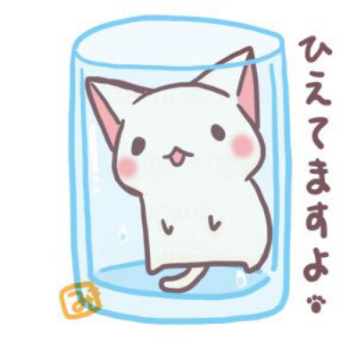 猫咪壁纸