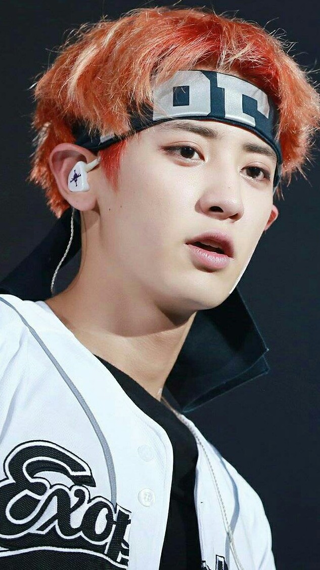 EXO·CHANYEOL·朴灿烈·壁纸