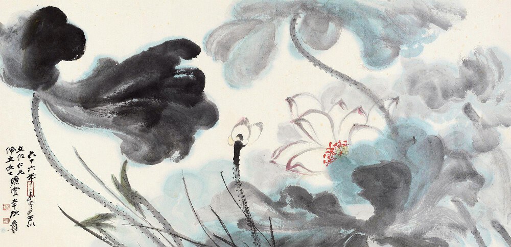 张大千 年作 荷花 镜心 纸本 款识:六十六年嘉平月,写似文佐仁兄,佩文