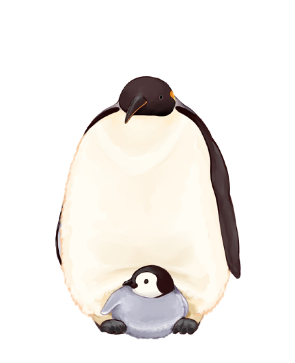 大企鹅与小企鹅.