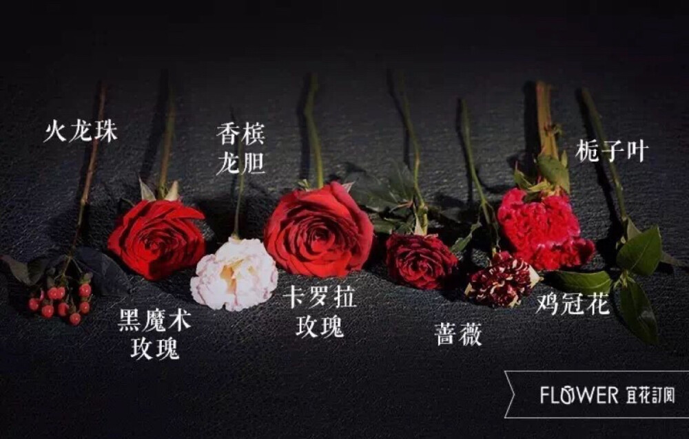 宜花花艺 红丝绒 花材