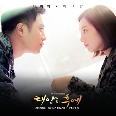 DAViCHi <이 사랑(这份爱)>
太阳的后裔 ost