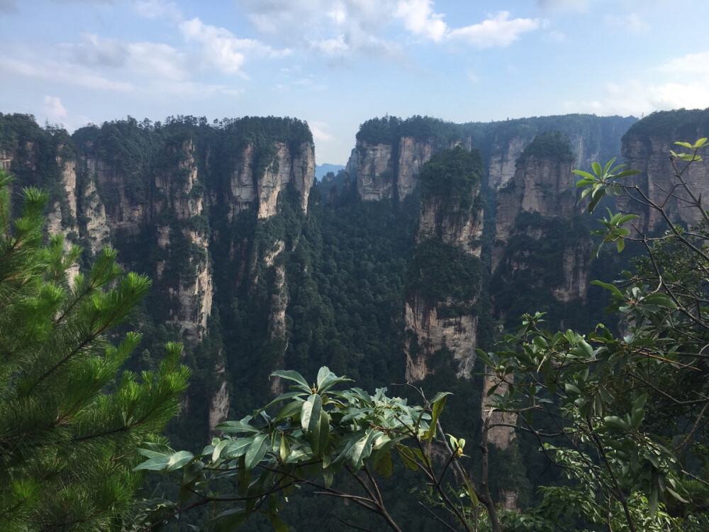 张家界。山还是很高的..