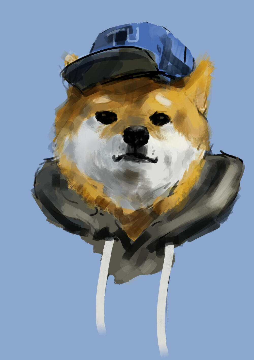 帥帥的doge，by：豆瓣王子