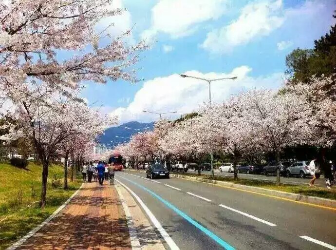 一定要和心爱的人去一次韩国旅行 美景 旅行 