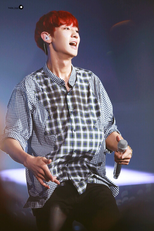 朴灿烈.ChanYeal.EXO