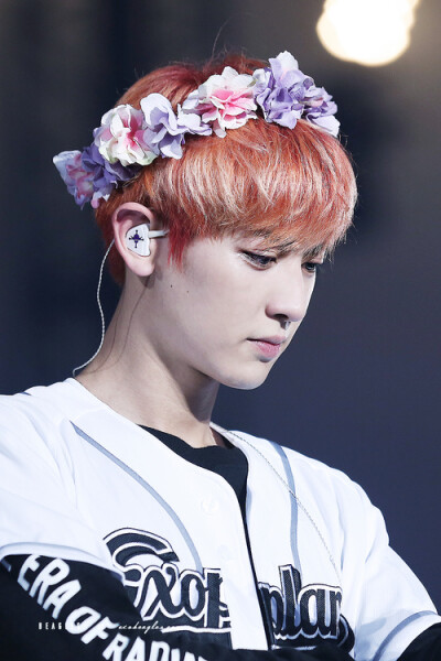 朴灿烈.ChanYeal.EXO